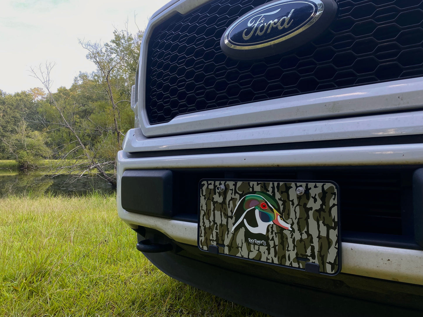 License plates