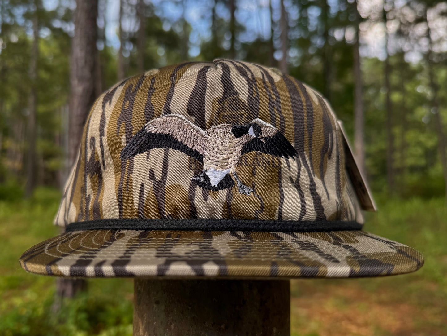 Canada Goose