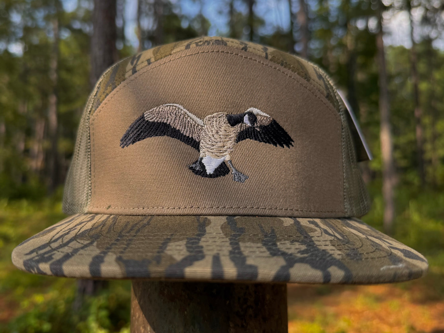 Canada Goose