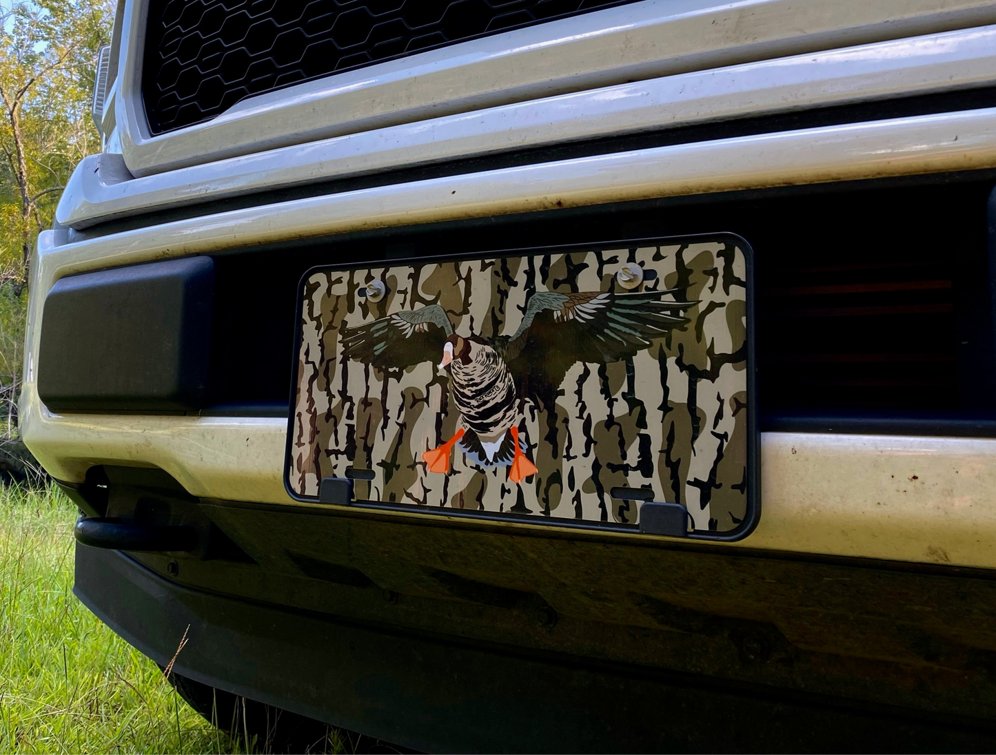 License plates