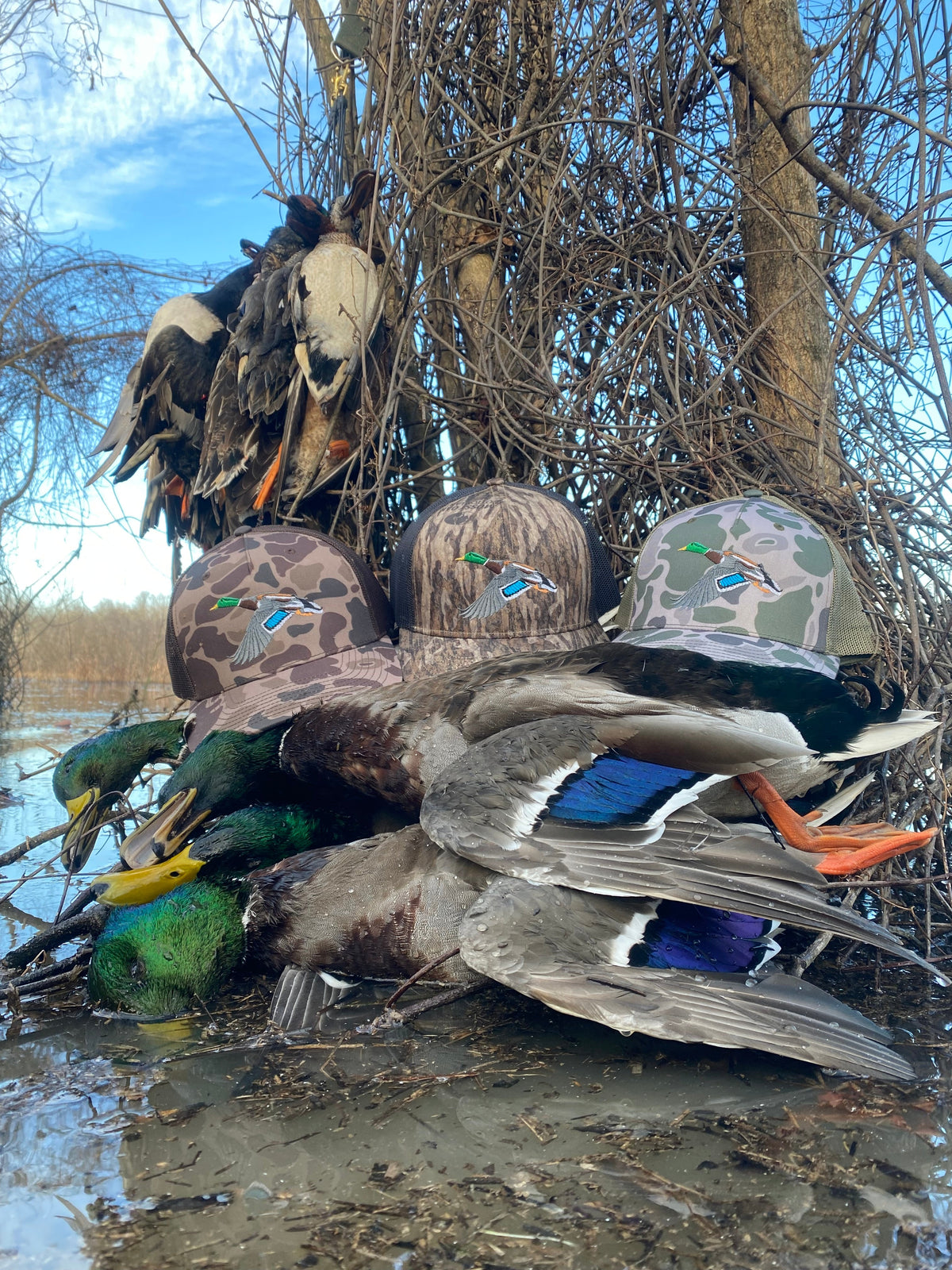 Waterfowl Hats