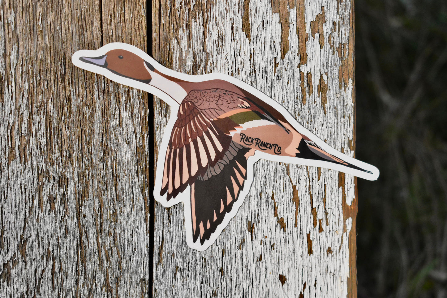 Rack Ranch Co Pintail Sticker