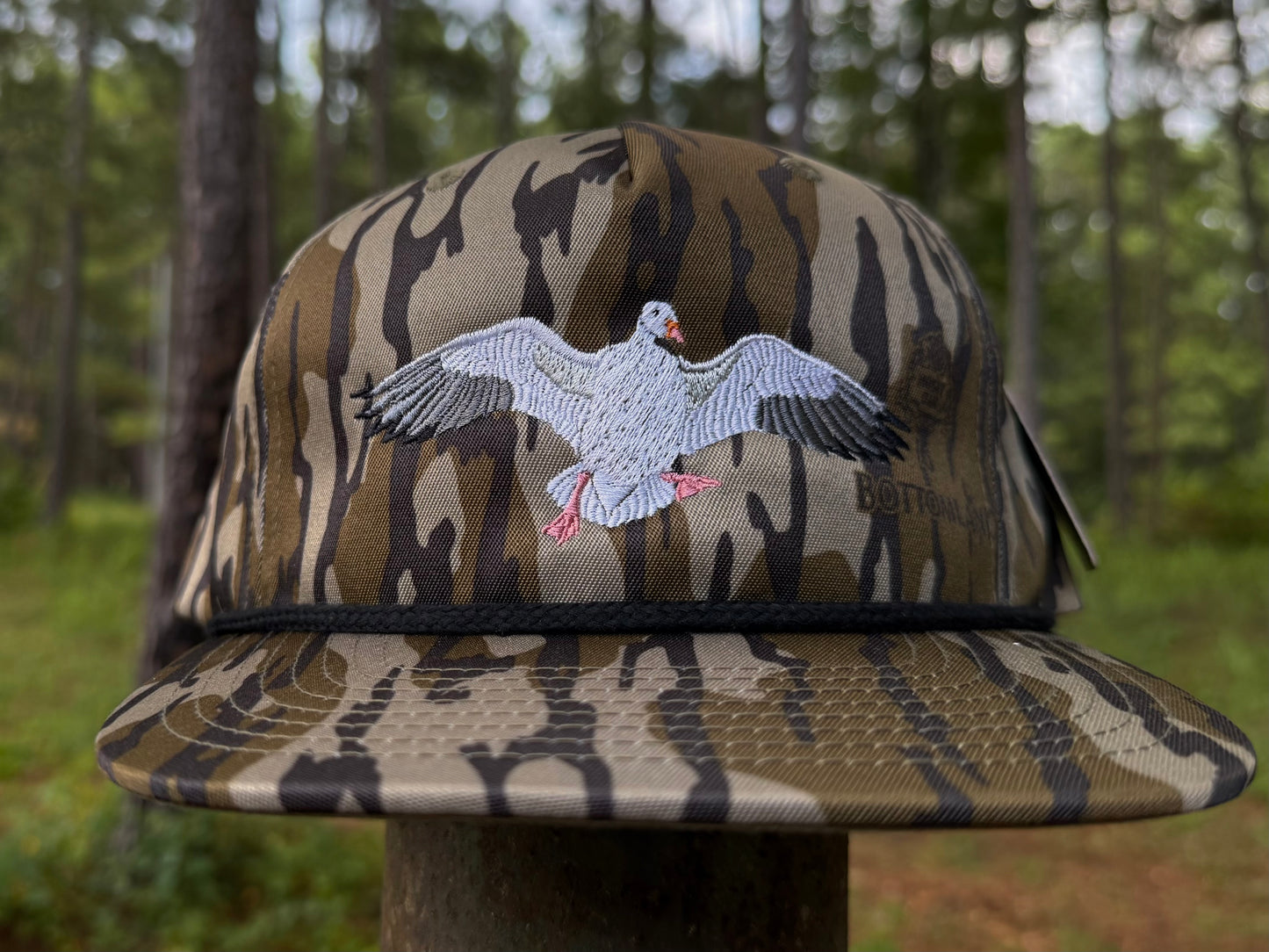 Snow Goose