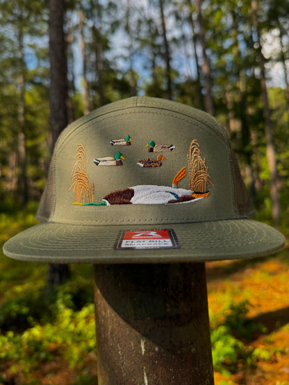 Banded mallard belly up