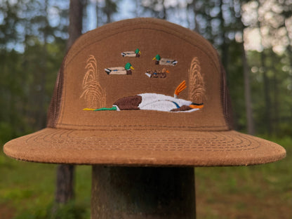 Banded mallard belly up