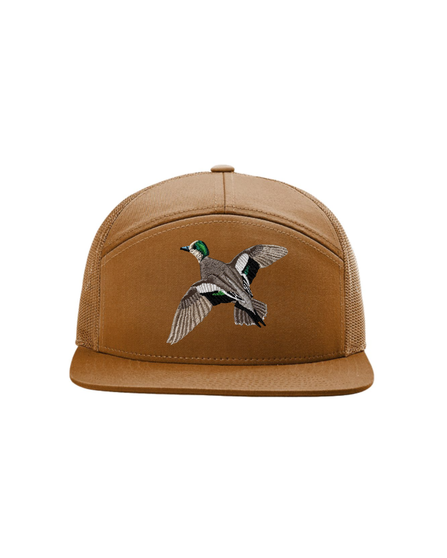 Wigeon