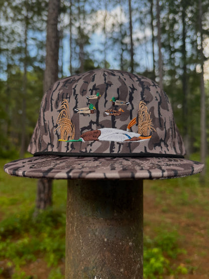 Banded mallard belly up