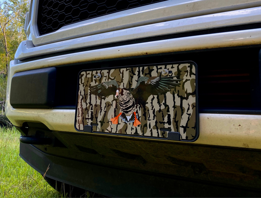 License plates